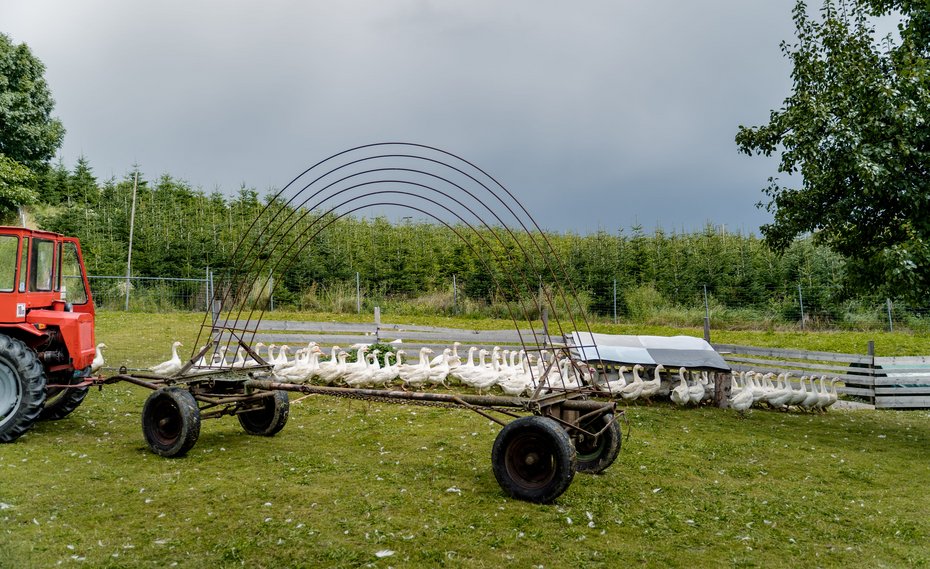 Regenbogenkonzertreise Bild 2